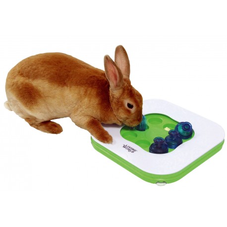 Hagen - Teach N Treat Toy