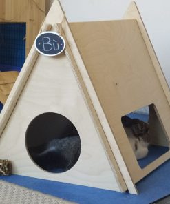 Bunny Campsite