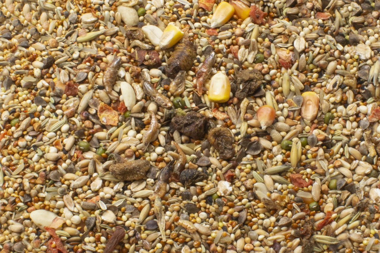 JR-Farm - Hamster Feast 600 gr - Image 2