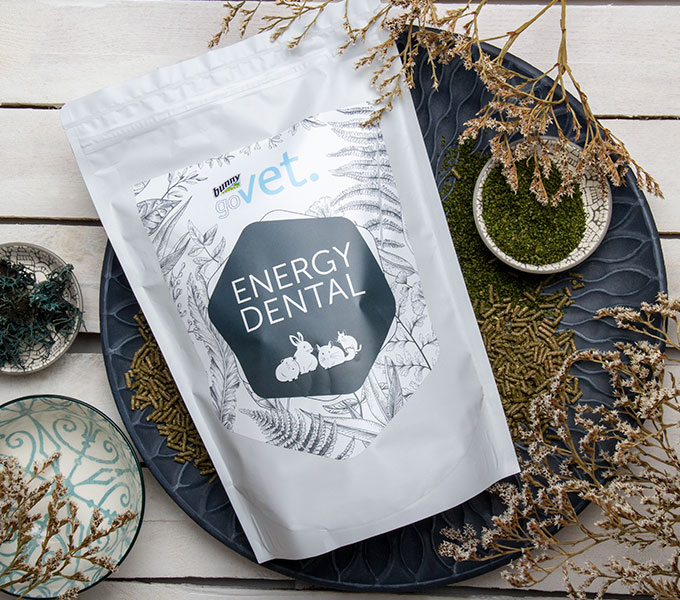 Bunny - GoVet Energy Dental 1,2 kg