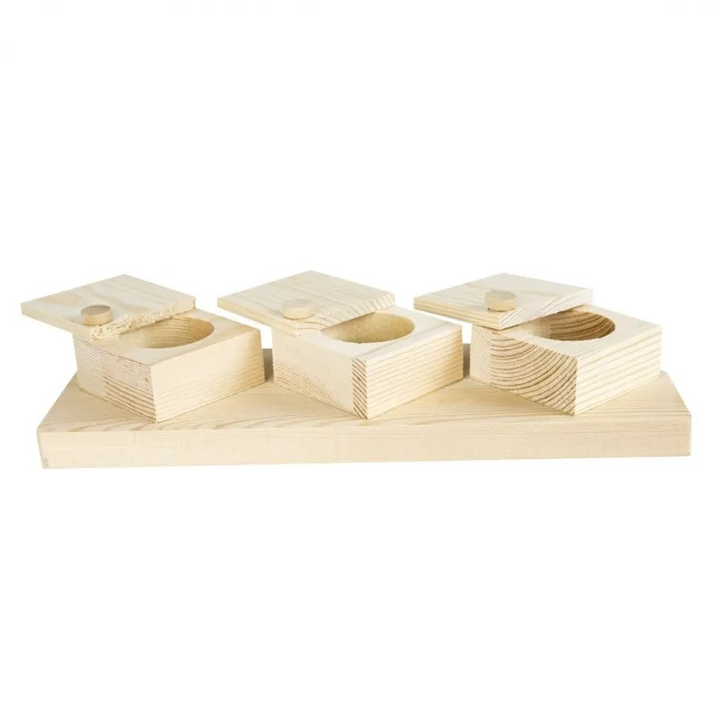 Back Zoo Nature - Braintrainer Cups