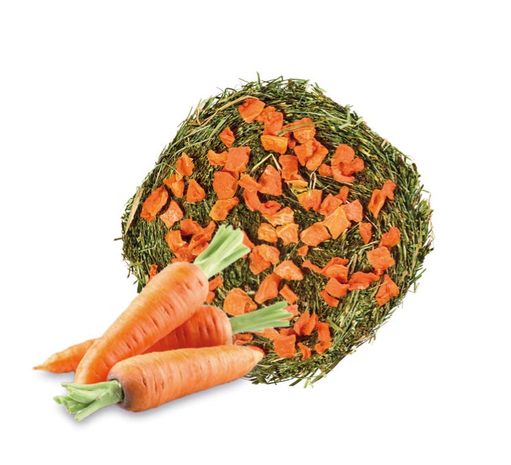 Home Friends - Torta di fieno di prato con Carota 200 g