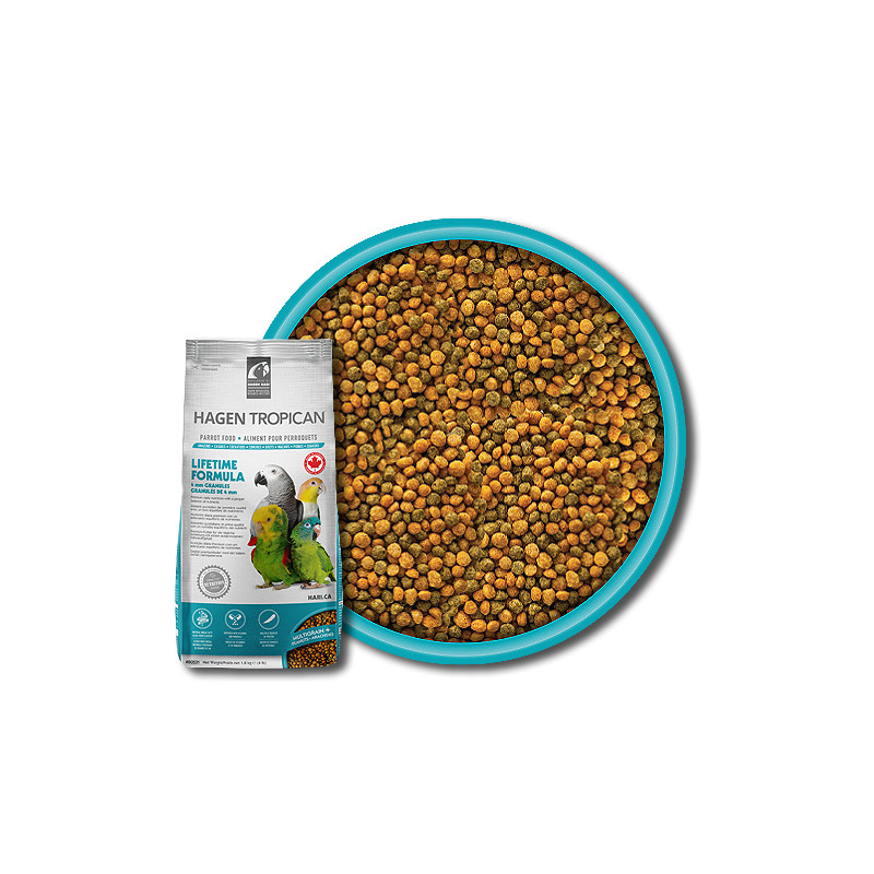 HARI - Lifetime - Mantenimento 4 mm 820 gr