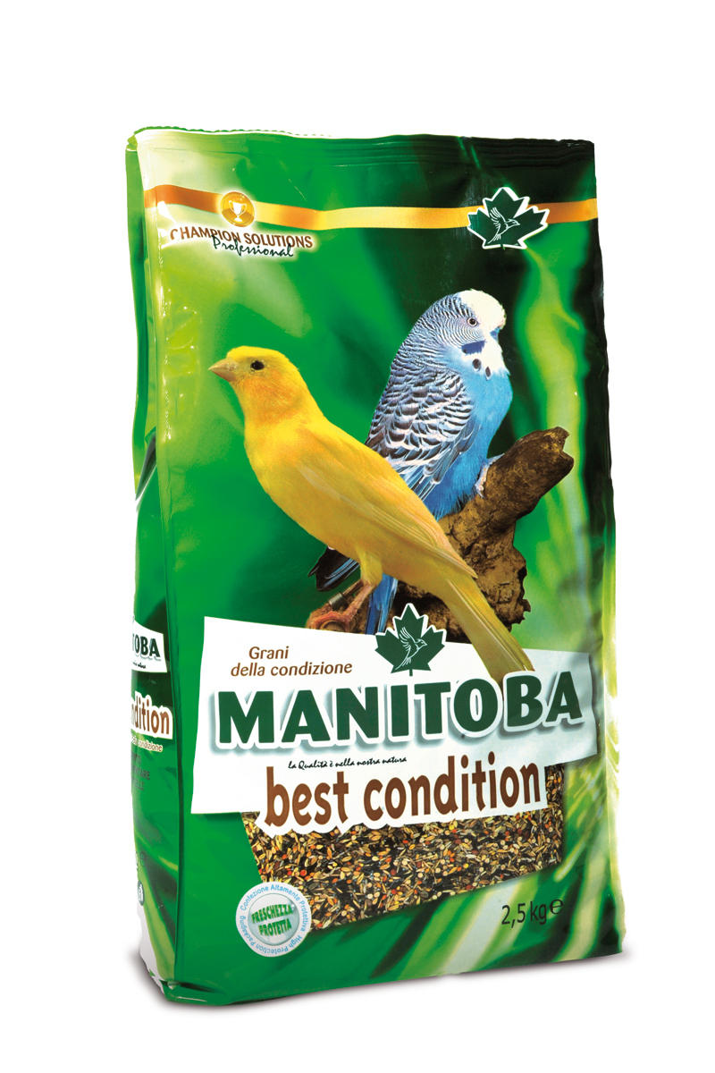 Manitoba - Best Condition 400 g